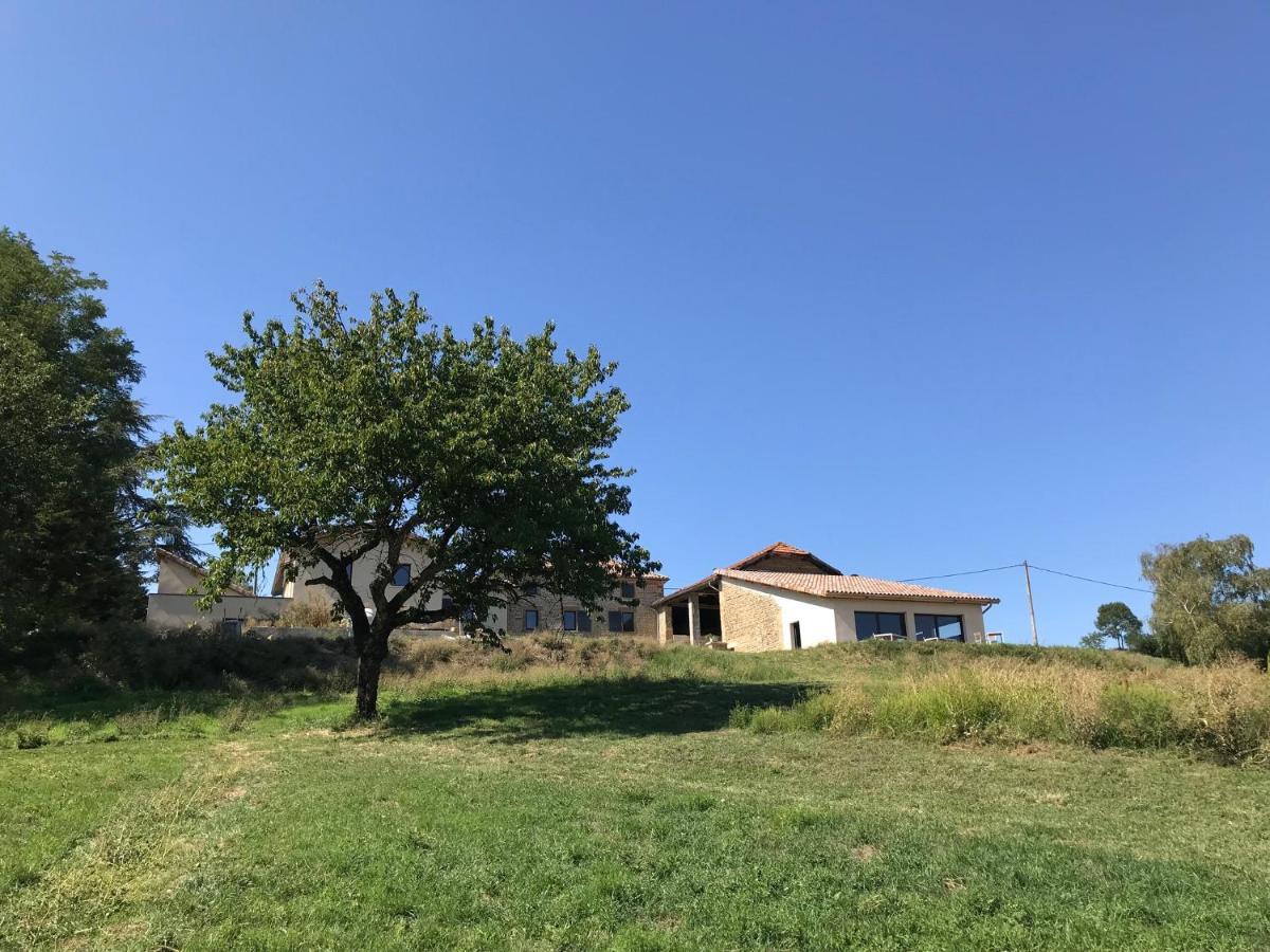 La Maison De Paul & Margaux Chateauneuf-de-Galaure Dış mekan fotoğraf